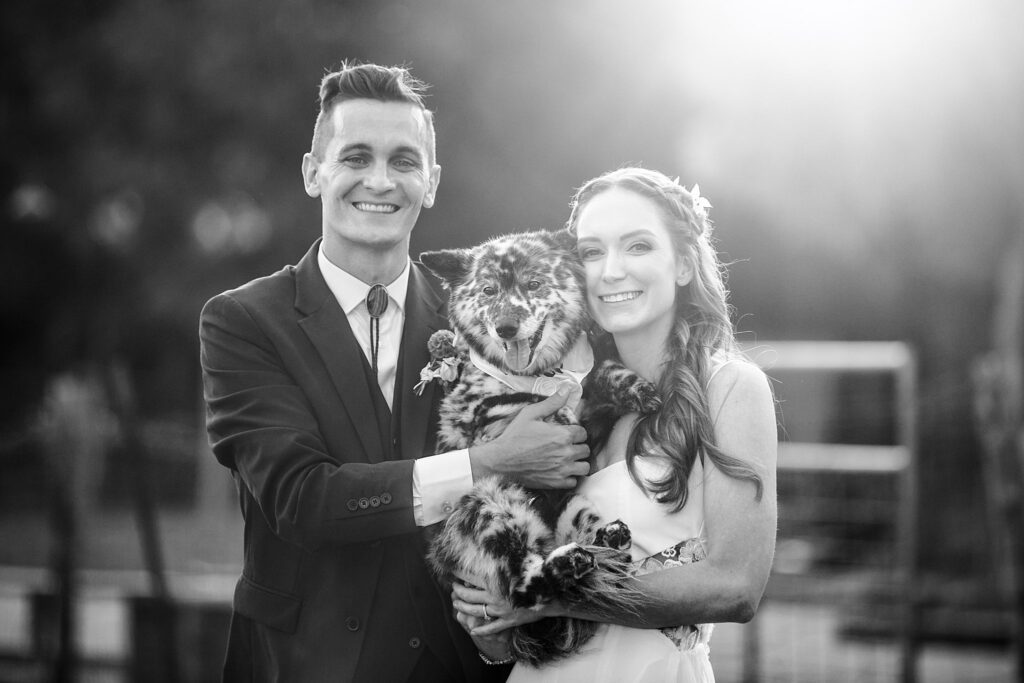 Bride and groom at wedding with dog. 