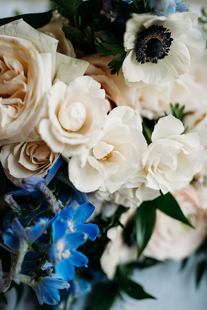 A close up a bouquet of white and blue flowers.