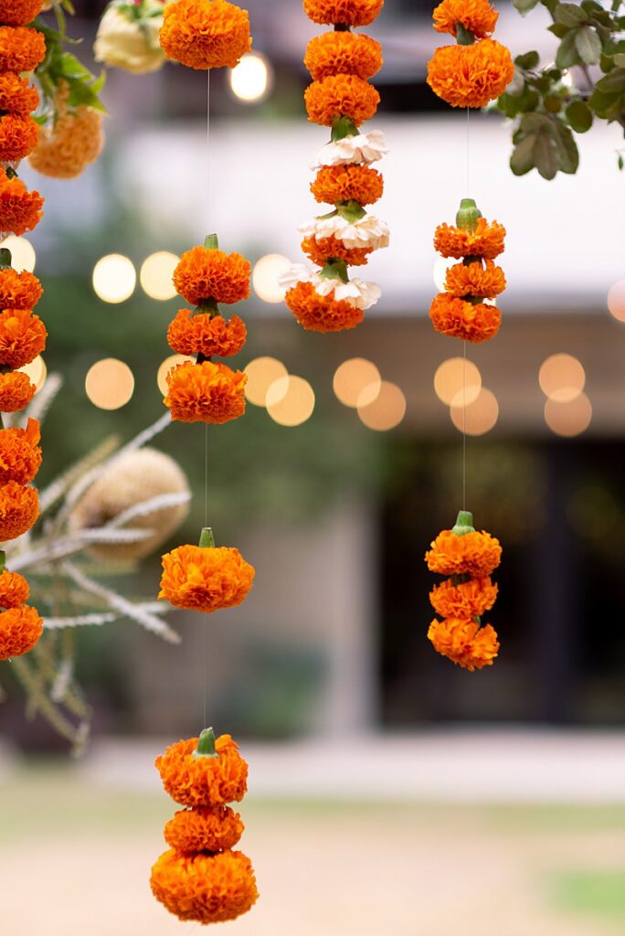 A bunch of orange flowers hanging from a tree at Hotel Magdalena Wedding.