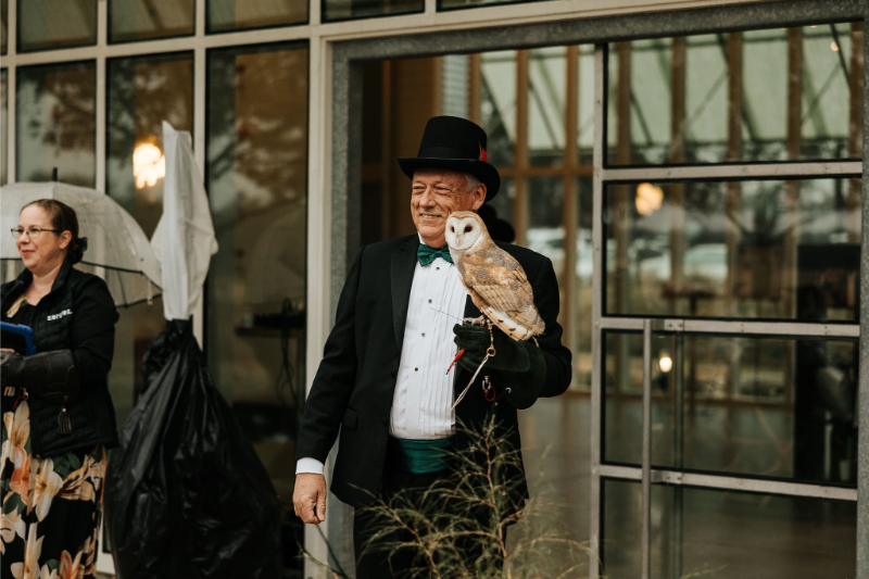 A man in a tuxedo and top hat holds a barn owl on his gloved hand, getting ready for release.