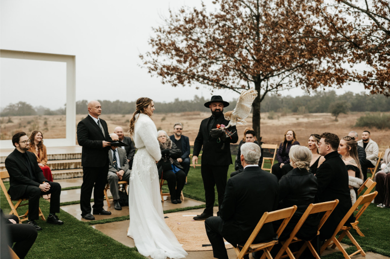 A barn owl flying toward a bride and groom during a wedding ceremony to deliver the rings.