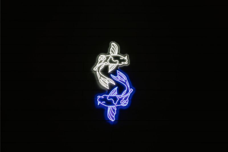 Neon art depicting two koi fish in a Yin-Yang formation; one fish is outlined in white, the other in blue, set against a black background.