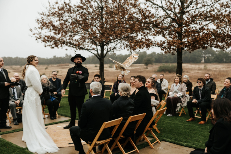 Owl delivers rings to groom during wedding at Prospect House.