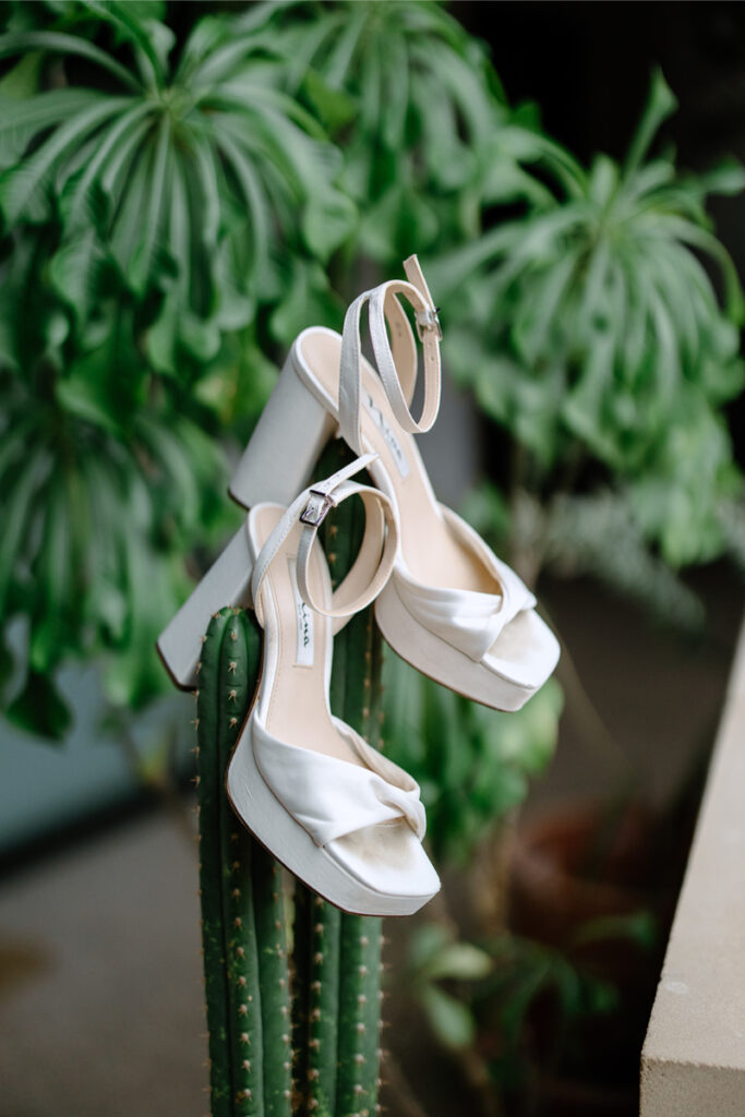 A pair of white high-heeled sandals with ankle straps are balanced on the arms of a tall green cactus, with leafy plants in the background.