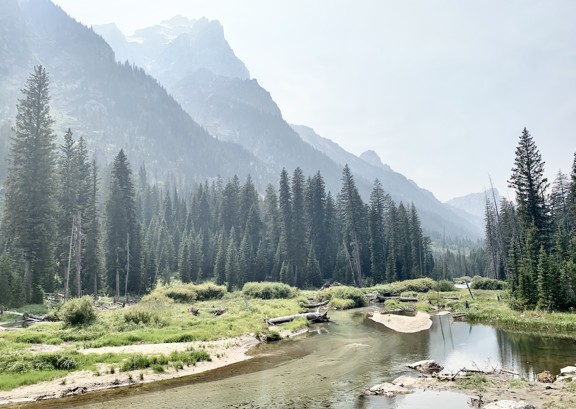 A clear stream flows through a grassy meadow surrounded by tall pine trees—an ideal scene for a Jackson Hole wedding planner—with misty mountains rising in the background under a hazy sky.