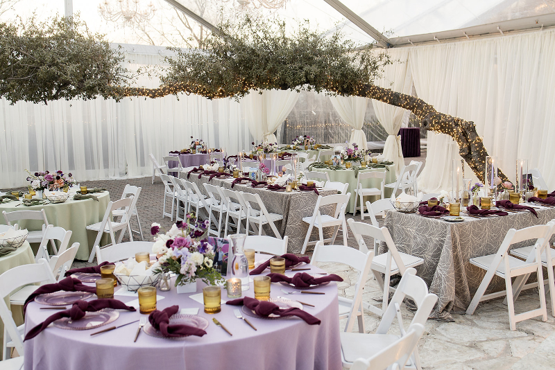 Elegant wedding at The Allan House Austin under a clear tent with round tables covered in lavender and sage linens, white chairs, floral centerpieces, and a tree branch decorated with string lights overhead.