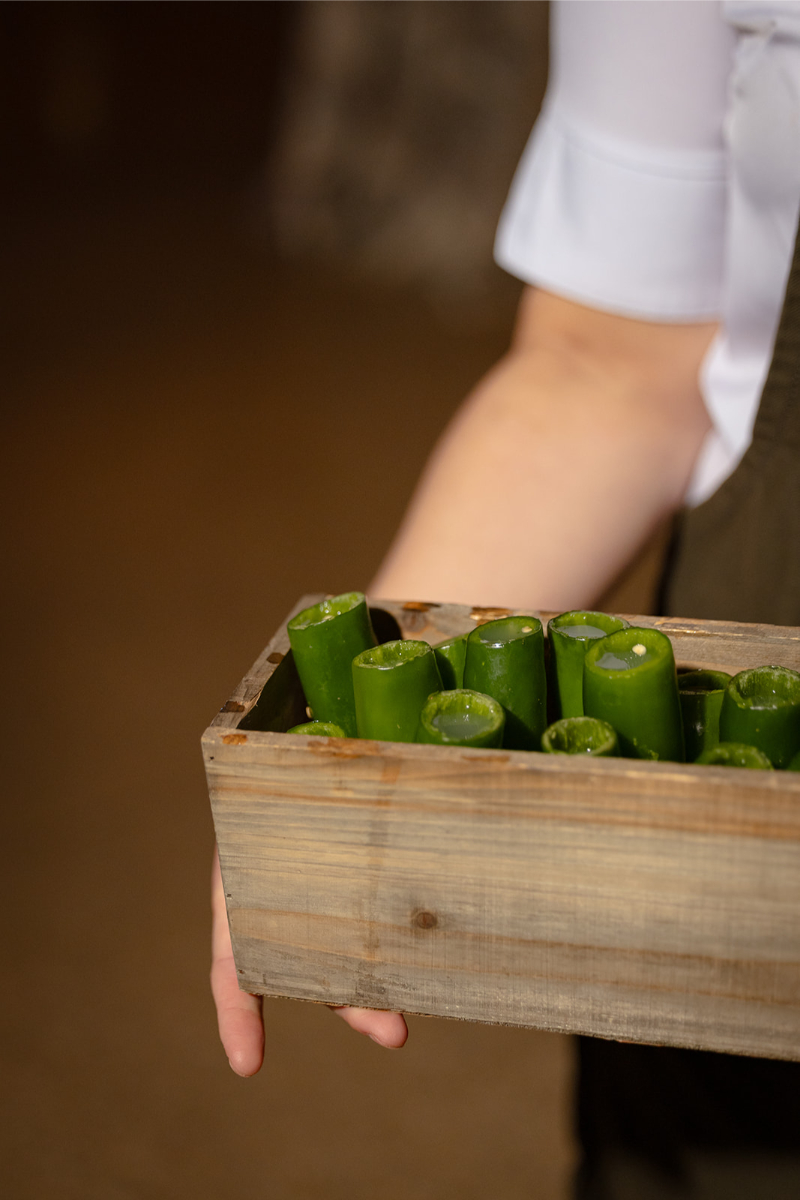 A person holding a wooden box filled with upright cut pieces of green aloe vera leaves.