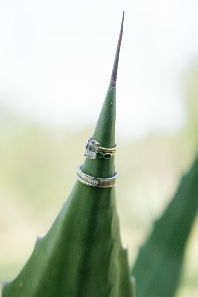 Two rings, one gold with a clear gemstone and one silver, rest on the pointed tip of a green succulent plant.